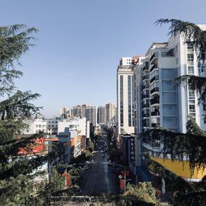 老司机深夜影院
