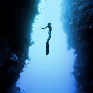 老司机深夜影院
